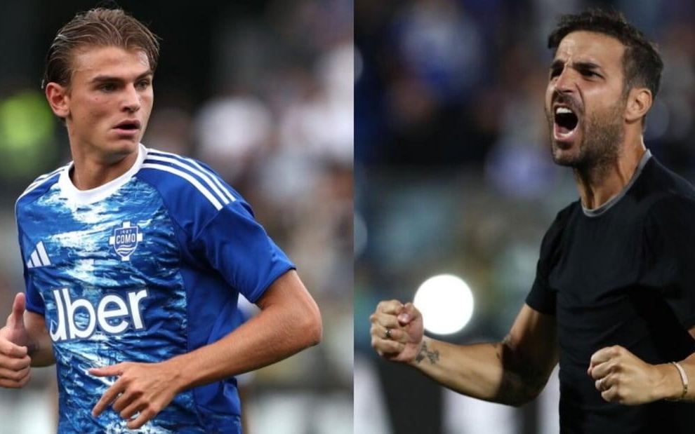 严格的蛋白 严格的蛋白