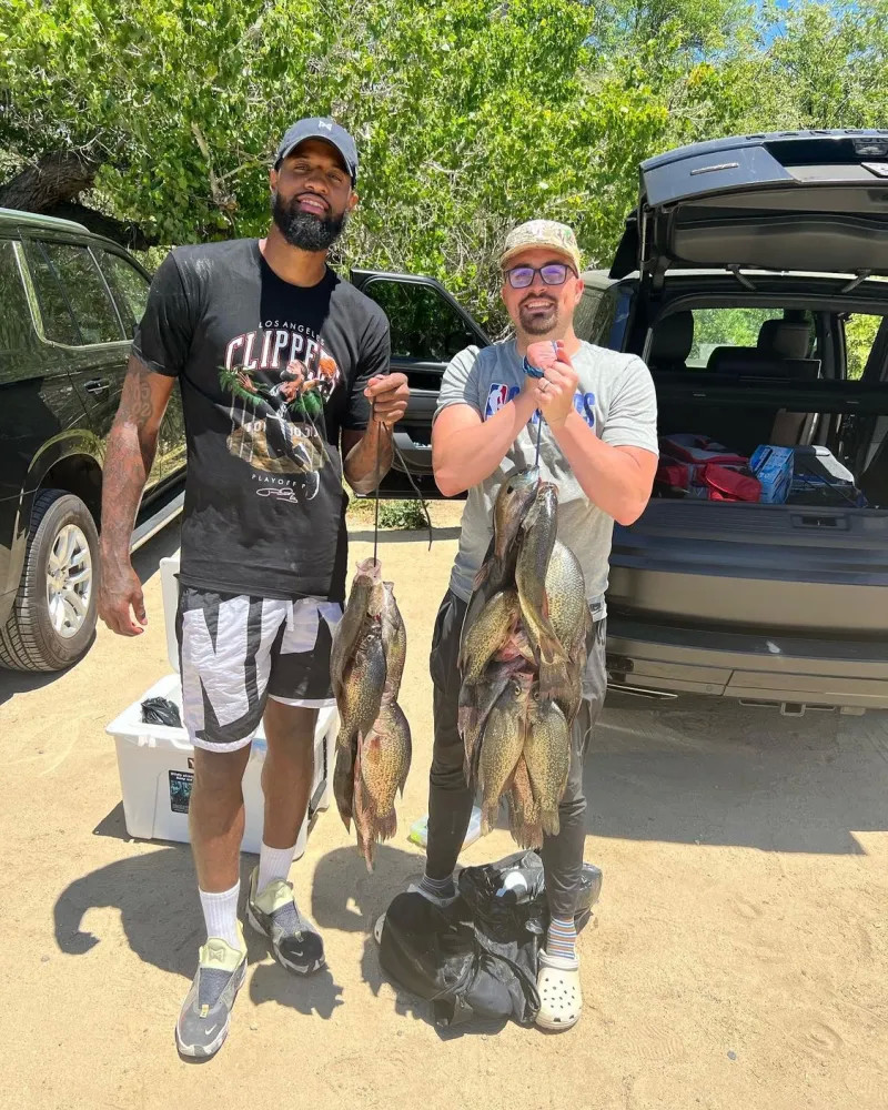 约基奇等顶 约基奇等顶