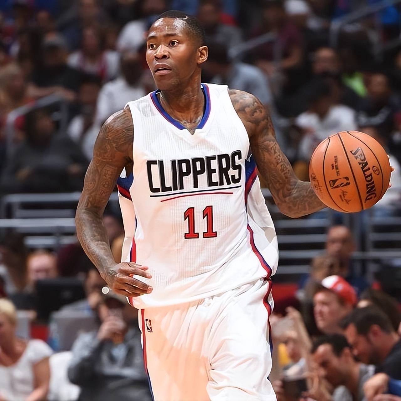 库尼亚的职 库尼亚的职